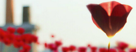 杭州創意海報設計公司的禪意美學