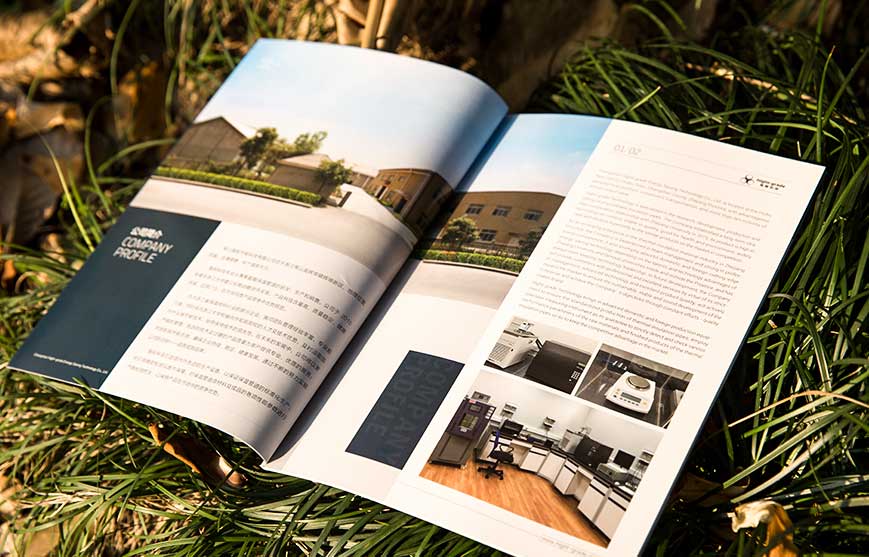 奧運(yùn)&mdash;&mdash;企業(yè)的營(yíng)銷(xiāo)平臺(tái)