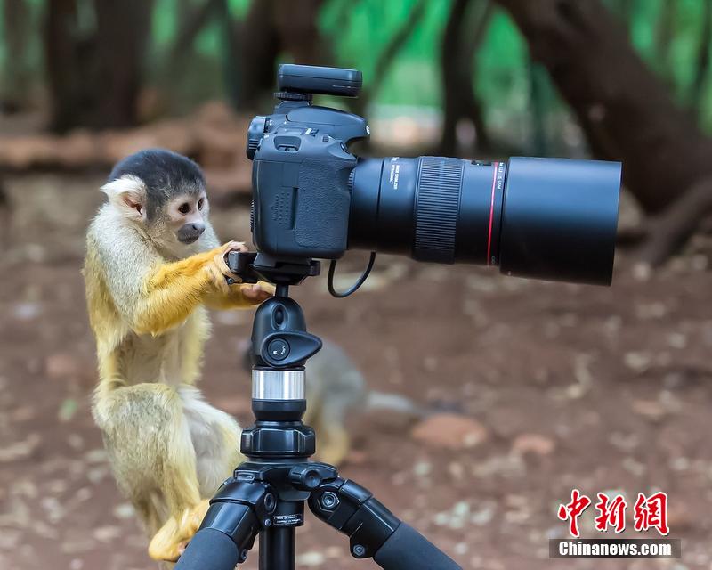 宣傳片拍攝時(shí)突出主體？