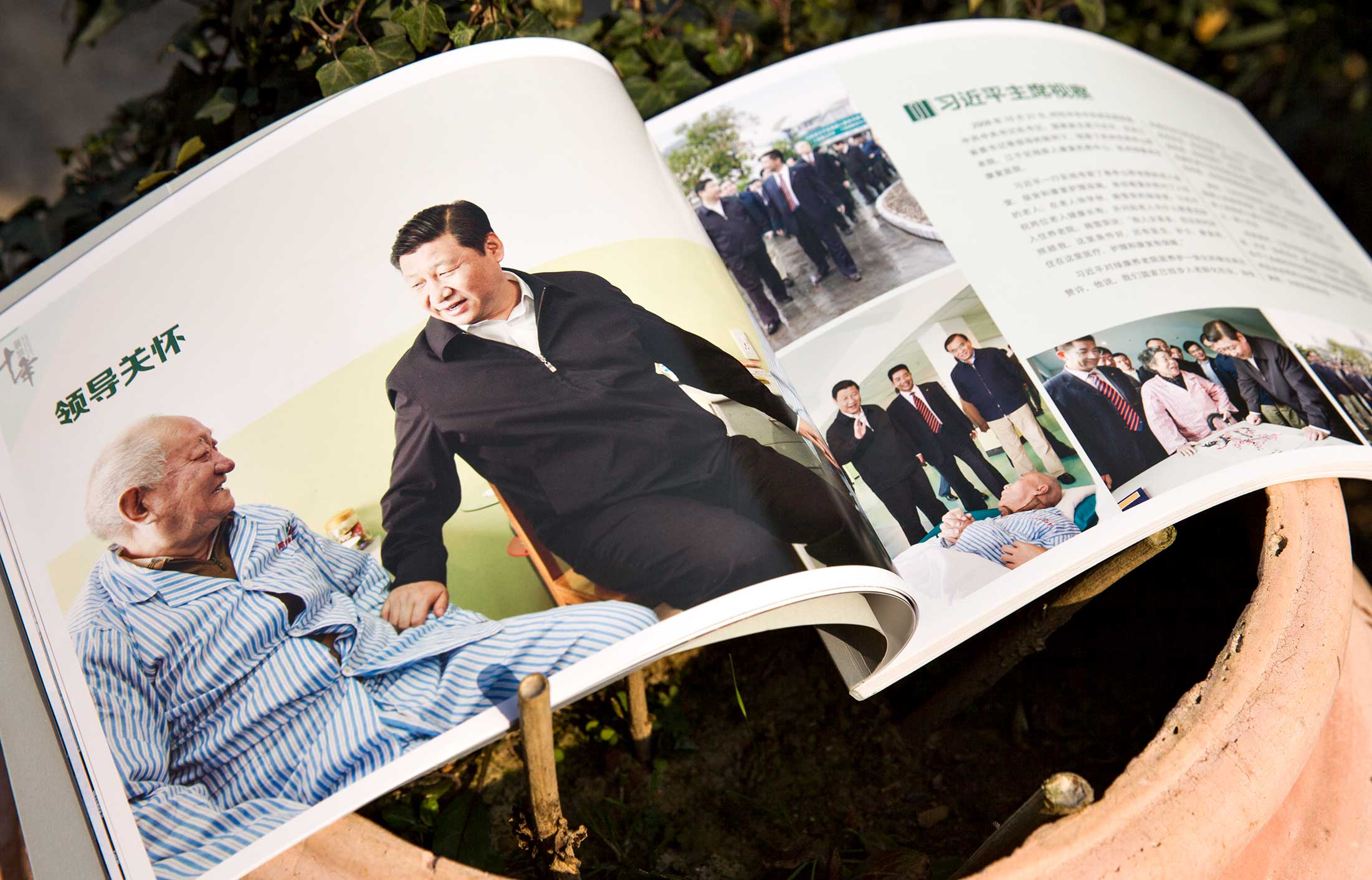 綠康醫養集團畫冊