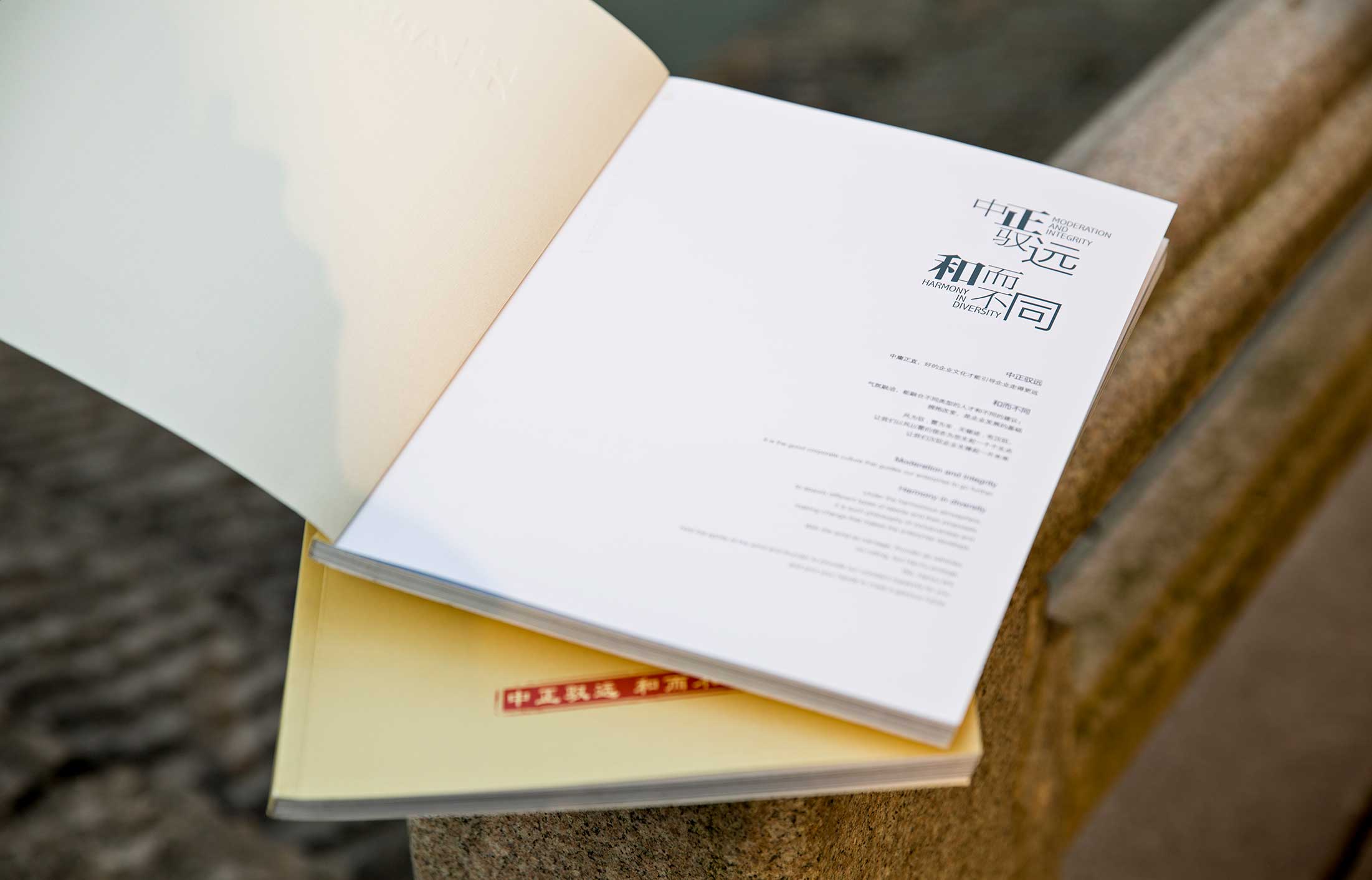 漢馭鋼構(gòu)集團(tuán)畫(huà)冊(cè)